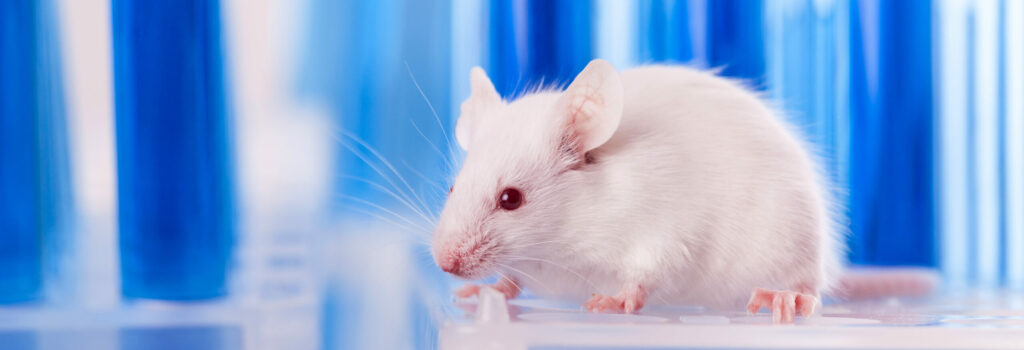 Non Animal Testing - in article