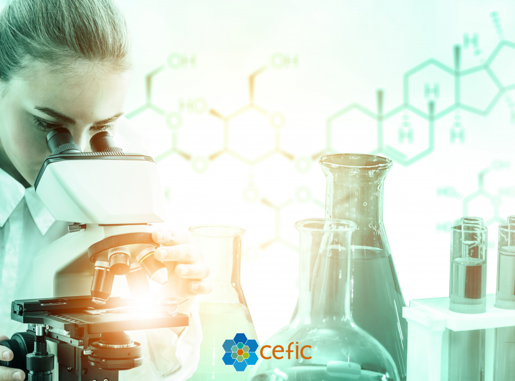 Chemistry For Europe - The European Chemical industry Brochure 